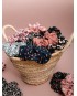 SOLIDARY SCRUNCHIE SEEDS