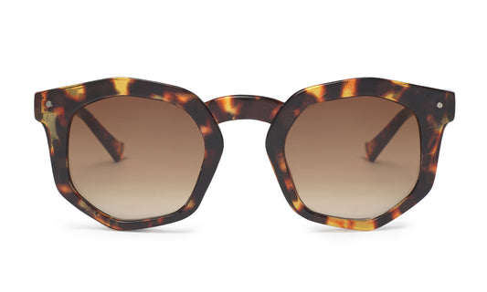 GAFAS AUDREY CONCHA