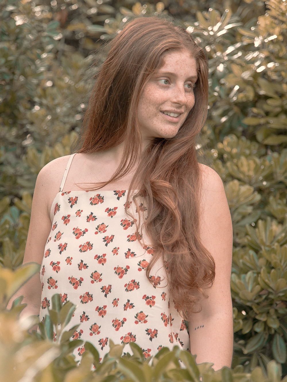 TOP VERO ROSES